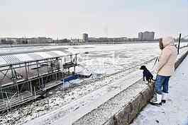 Zaledjen Dunav/ Frozen Danube