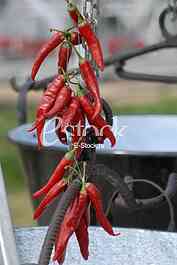  food preparation