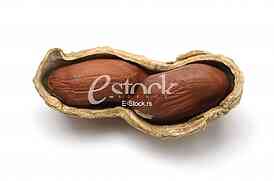 Peanut