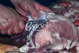 Pig slaughter