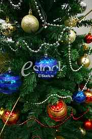 Christmas tree in a full length