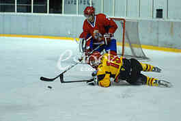 Ice hockey