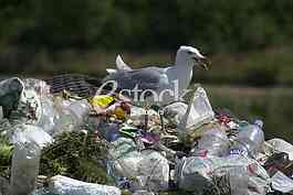 City dump