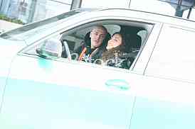 Desingerica Nevena Despic