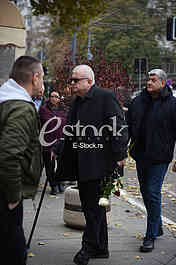 nenad canak