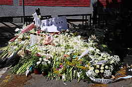 OS Vladislav Ribnikar