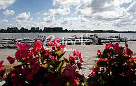 dunav , zemun