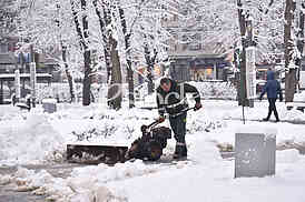 Winter 