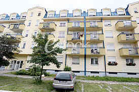 Pozar Zemun polje
