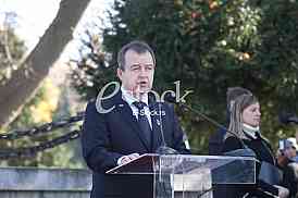 Dan primirja u Prvom svetskom ratu