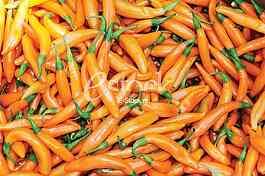 Pepper