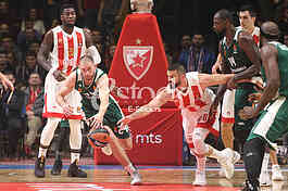 CRVENA ZVEZDA vs PANATHINAIKOS ATHENS