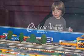 Scale model
