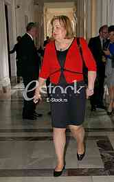 Serbian Assembly session