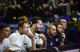 Novica Velickovic, Miroslav Raduljica, Srbija Gruzija