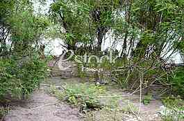 Place where he found the corpse of a Chinese citizen