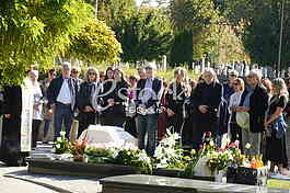 Pomen Mileni Dravic