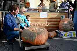 competition for the heaviest pumpkin, and for the most beautiful piece of pumpkin, market Zemun