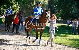 Hippodrome Belgrade hippodrome, and 100 years of equestrian sport horses and equestrian sports, horse